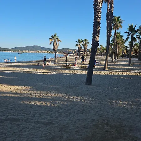 Serenite グリモー